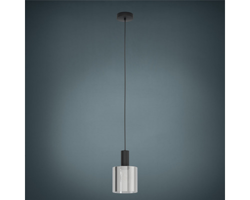 Pendellampa med transparent lampskärm