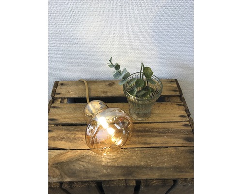 Dekorativ glödlampa och liten växt i ett glas på en trälåda