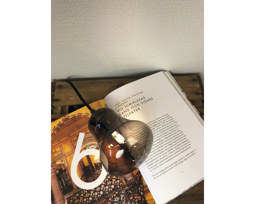 Dekorativ rökfärgad glödlampa på öppen bok