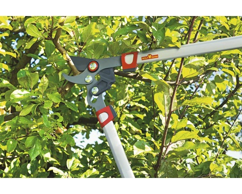 Wolf Garten logotyp. En grensax klipper av en gren.