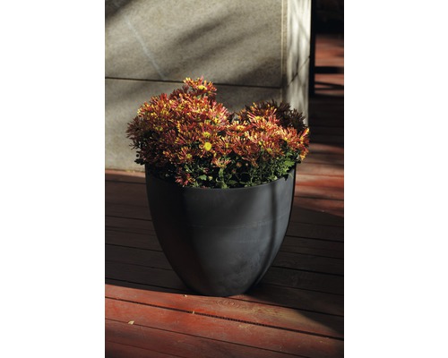 Blomkruka med krysantemum på träterrass