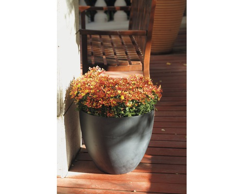Blomkruka med säsongsblommor på en träterrass