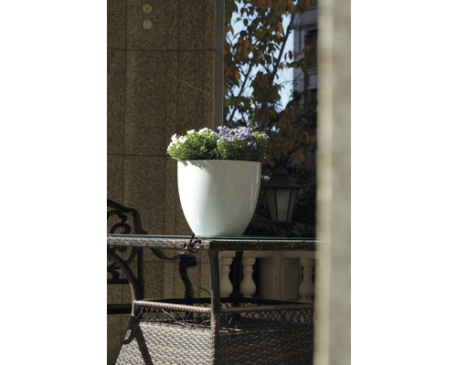 Dekorativ växt i en vit blomkruka på ett trädgårdsbord