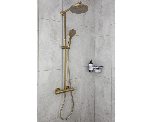 Duscharmatur med huvud- och handdusch i badrummet