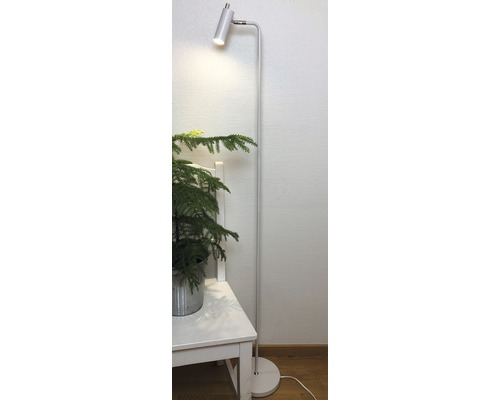 Golvlampa bredvid ett bord med en växt