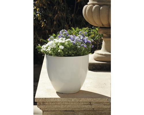 Blomsterarrangemang i en vit, rund blomkruka på en stenyt.