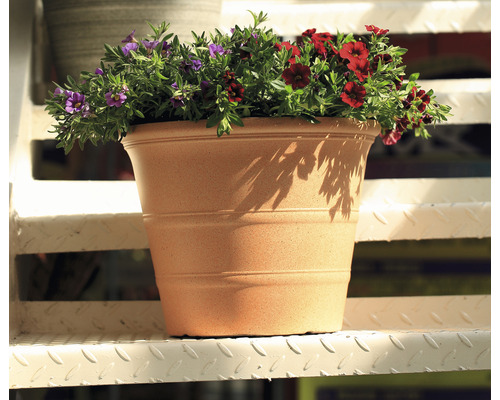 Blomkruka med blommande växter på en trappa