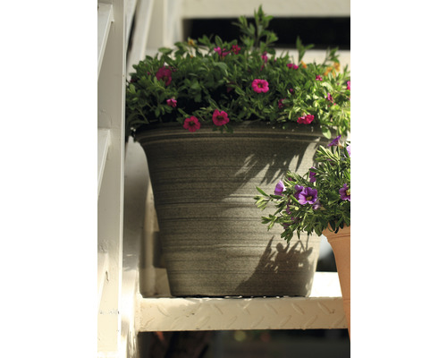 Blomkruka med lila blommor på en trappa