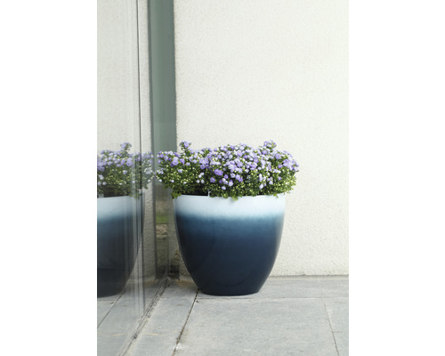 Blomkruka med lila blommor på ett stengolv