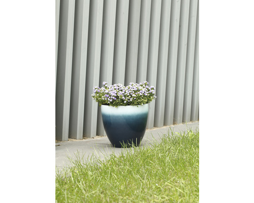 Blomkruka med lila blommor i trädgården