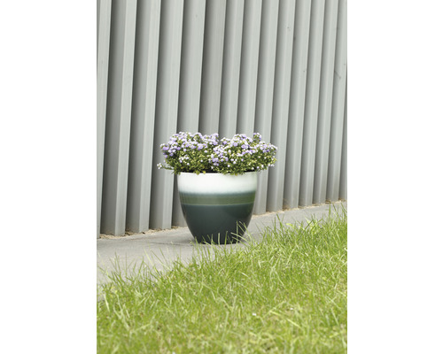 Blomkruka med blommor framför en grå vägg