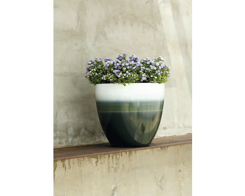 Blomkruka med blommor