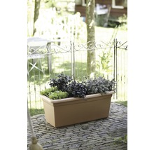 Blomlåda med olika örter i trädgården