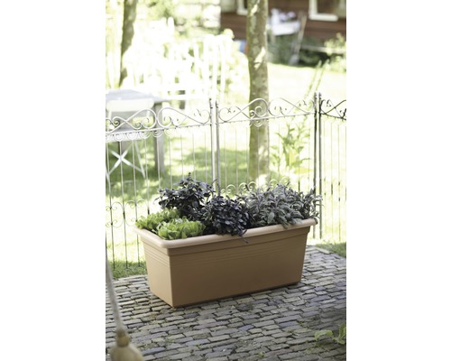 Blomlåda med olika örter i trädgården