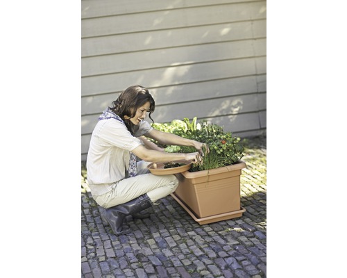 En kvinna arbetar i en upphöjd trädgårdsbädd med olika grönsaker.