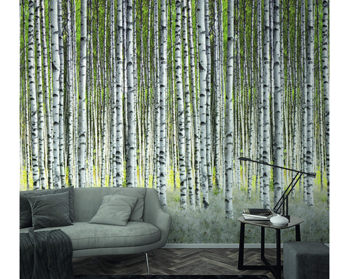 Vardagsrum med fototapet med björkskogsmotiv