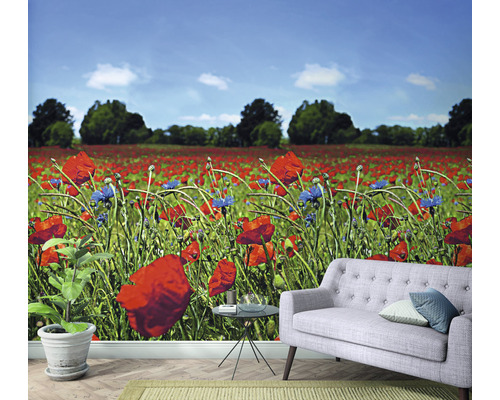 Tapet med vallmofältsmotiv i ett rum med en soffa