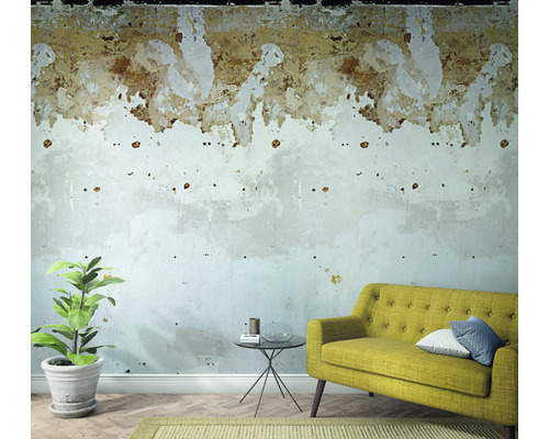 Dekorativt rum med växt, soffa och vägg som behöver renoveras