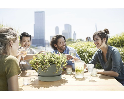 Scen med människor vid ett bord med drycker och en kruka med blommor