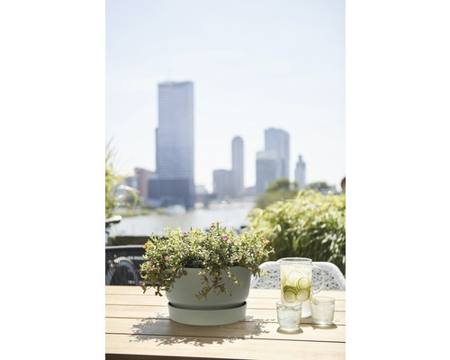 Scen med krukväxt, dryckeskanna och glas på ett träbord utomhus