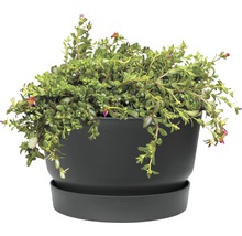 Blomkruka ELHO Greenville Ø33x19,5cm svart frostbeständig