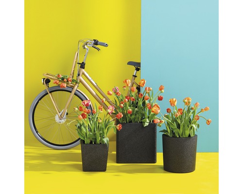 Dekorativa blomkrukor med tulpaner och cykel