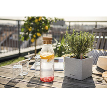 Bordscen med dryckesdispenser, glas och en örtkruka på ett träbord utomhus