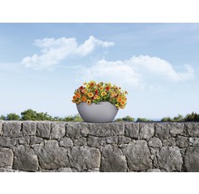 Blommor i planteringskärl på en stenmur mot en blå himmel