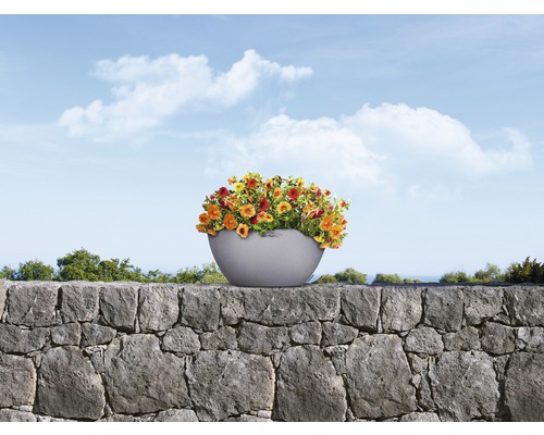 Blommor i planteringskärl på en stenmur mot en blå himmel