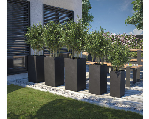 Utomhusområde med blomlådor och bambuväxter på terrassen