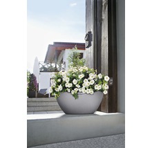 Grå blomkruka med vita blommor framför ett hus