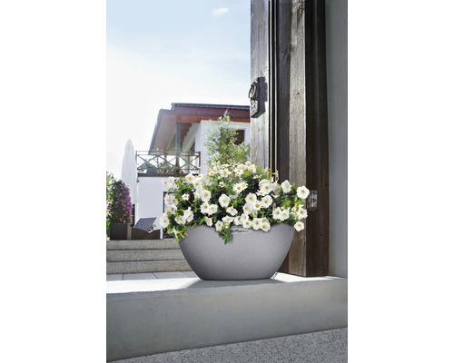 Grå blomkruka med vita blommor framför ett hus