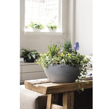 Dekorativ planteringsskål med gröna växter och blommande hyacinter på ett träbord inomhus