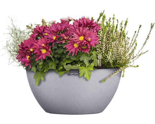 Blomsterarrangemang i planteringskärl