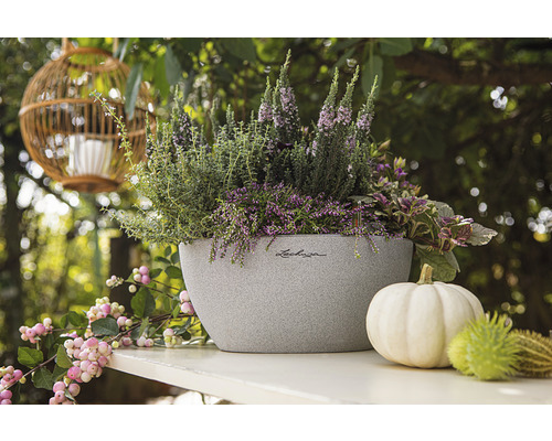 Planterad Lechuza blomkruka med höstdekoration