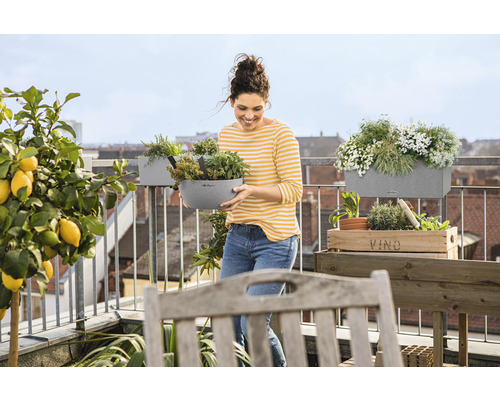 Kvinna med blomlåda på en balkong med örter, blommor och citronträd