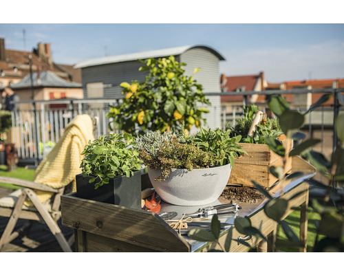 Scen med örter i planteringar på ett bord utomhus