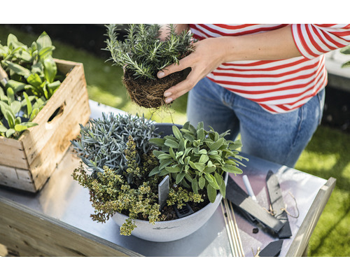 Kvinna planterar örter i en kruka på ett trädgårdsbord, bredvid en trälåda med örter