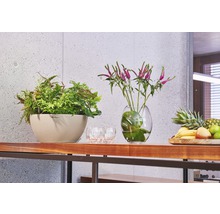 Självvattnande blomkruka LECHUZA Cubeto Stone plast Ø30x13cm sandbeige inkl. substrat