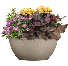 Självvattnande blomkruka LECHUZA Cubeto Stone plast Ø30x13cm sandbeige inkl. substrat