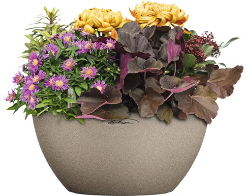 Blomsterarrangemang i planteringskärl