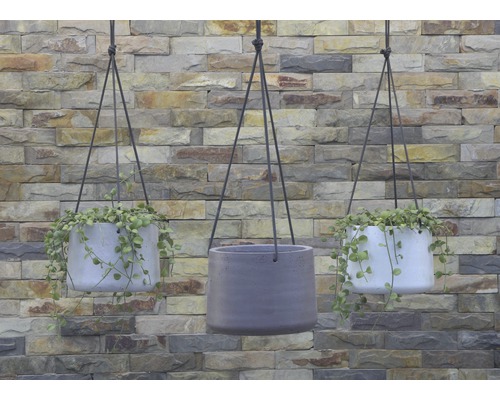 Tre hängande blomkrukor framför en stenmur.