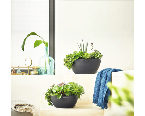 Två planterade Lechuza-blomkrukor inomhus