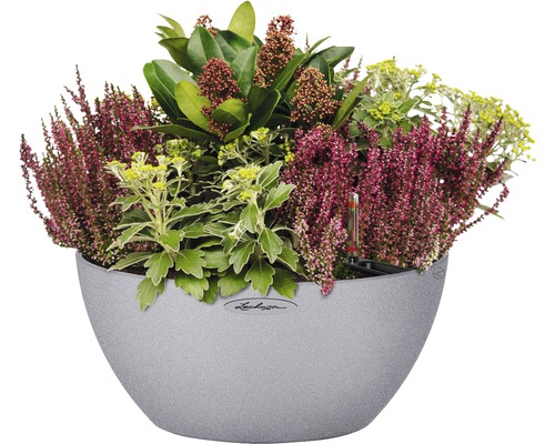 Planterad kruka med ljung och olika växter