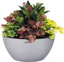 Blomkruka planterad med olika växtarter