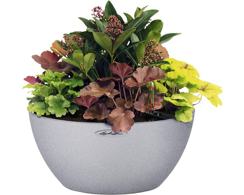 Blomkruka planterad med olika växtarter