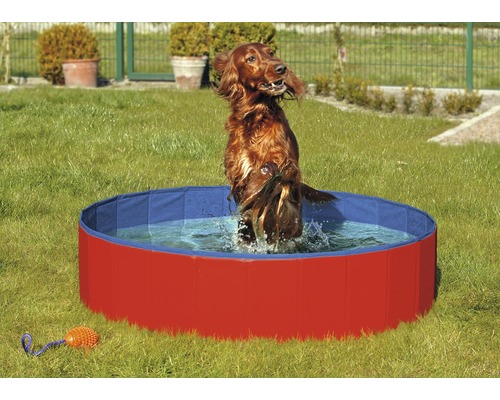 Hundpool KARLIE Doggy pool 120x30cm röd/blå