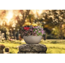 Självvattnande blomkruka LECHUZA Cubeto Stone plast Ø40x18cm sandbeige inkl. substrat