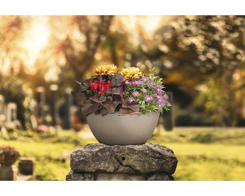 Blomkruka med blommor på en gravsten
