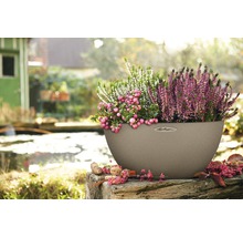 Självvattnande blomkruka LECHUZA Cubeto Stone plast Ø40x18cm sandbeige inkl. substrat